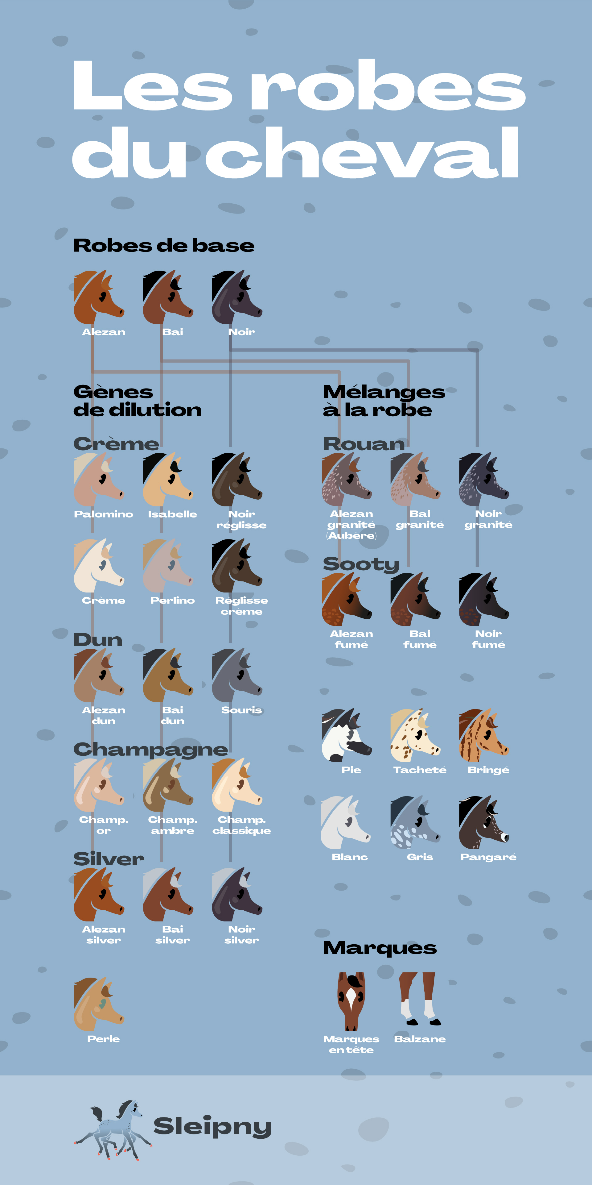 Infographie des rôbes du chaval